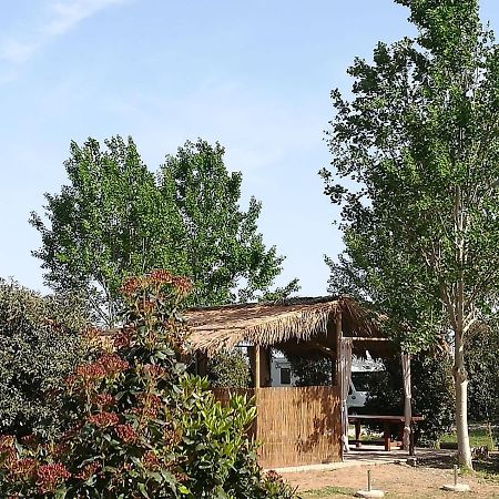Bnatural Glamping Naturista/Nudista Baratti Eksteriør billede