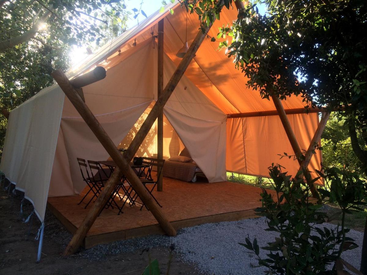 Bnatural Glamping Naturista/Nudista Baratti Eksteriør billede