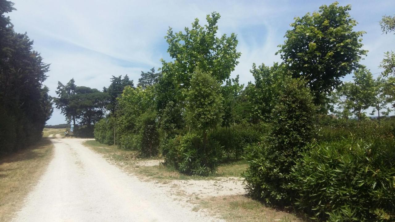 Bnatural Glamping Naturista/Nudista Baratti Eksteriør billede