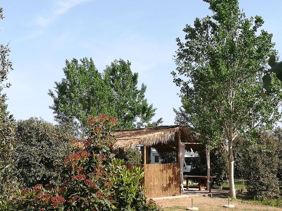 Bnatural Glamping Naturista/Nudista Baratti Eksteriør billede