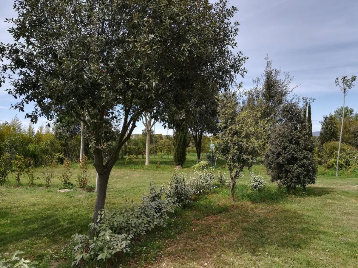 Bnatural Glamping Naturista/Nudista Baratti Eksteriør billede