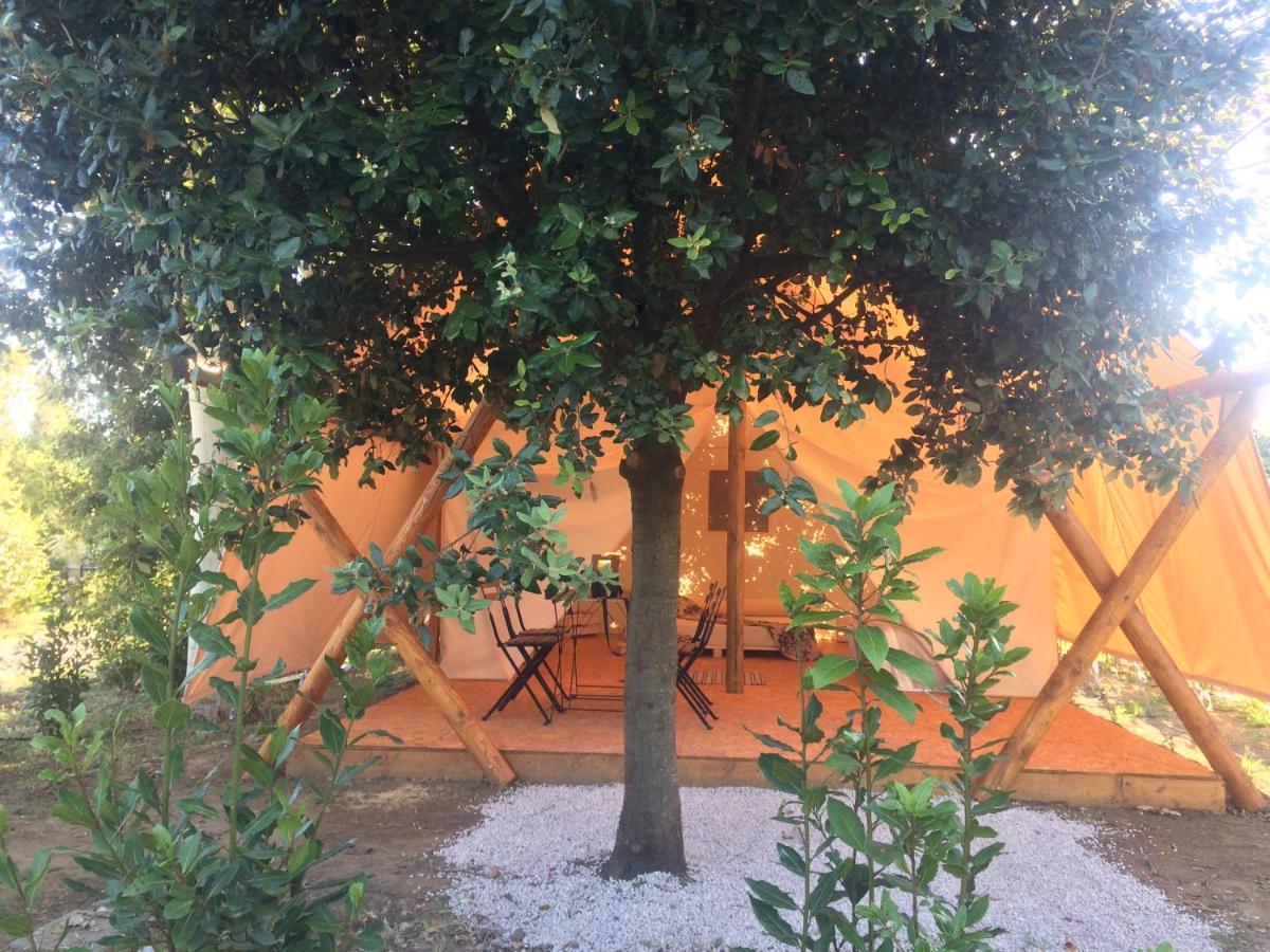 Bnatural Glamping Naturista/Nudista Baratti Eksteriør billede