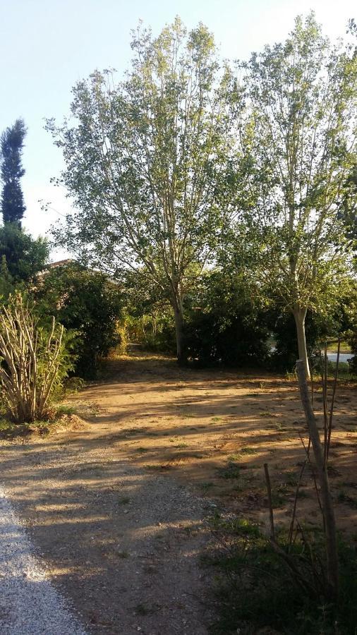Bnatural Glamping Naturista/Nudista Baratti Eksteriør billede